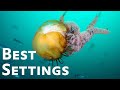 Best Underwater Camera Settings