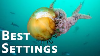 Best Underwater Camera Settings