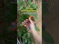 How To Increase Grip Strength كيف ازيد قوة القبضة 