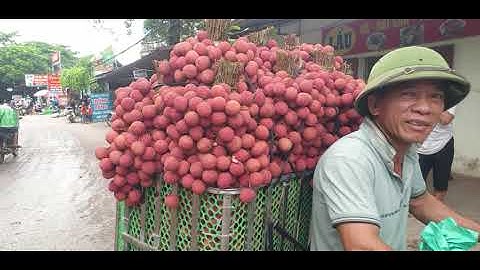 Chợ Vải Thiều Vùng Cao Lục Ngạn Cuối Mùa l Núi Đồi Lục Ngạn
