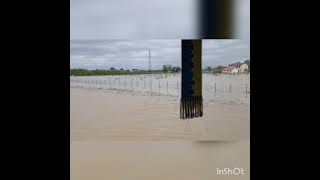 В Италии в провинции Эмилия-Романа сильнейшее за 100 лет наводнение. Сергей из эпицентра событий