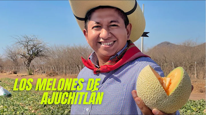Llegamos a Ajuchitln y probamos los melones ms exq...