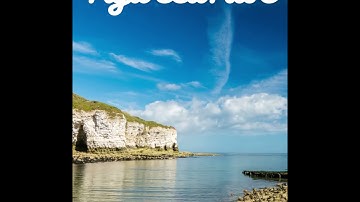 سورة عبس - حسين آل الشيخ