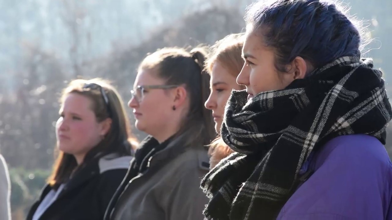 Šola za hortikulturo in vizualne umetnosti Celje, Višja stokovna šola