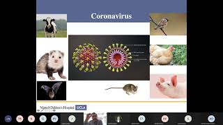 2021 Happy Heart Festival - The Biology of COVID and What it Means for CHD Patients