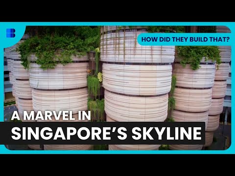 The Hive in Singapore - How Did They Build That? (2024)