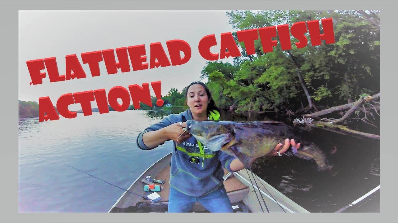 Do This and You'll Catch MORE Flathead Catfish: Volume 1 