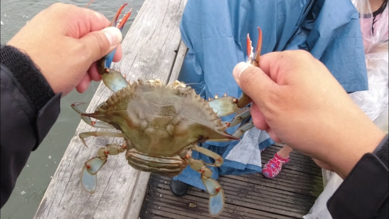 Is Tomorrow A Good Fishing Day At Captree Is Tomorrow A Good Fishing Day At Captree