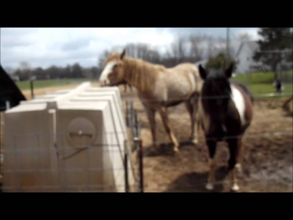 Michigan banning livestock on small farms?