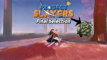 (Project slayer)How did i Complete final selection