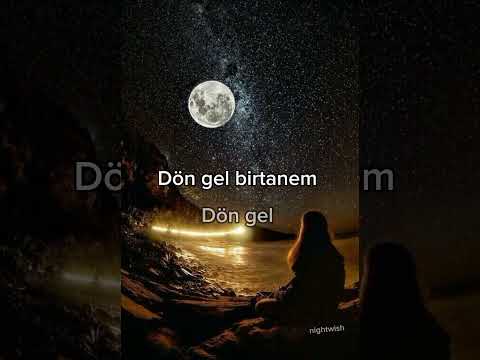 Selda Bağcan - Dön Gel Birtanem Dön Gel (sözleri)