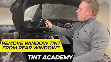 Mastering Tint Removal: How to Remove Window Tint From Rear Window of a Hatch-Back - How to Tint