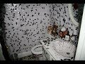 Download Top 5 Largest Cockroach Infestations Top Five Top 5 Largest Cockroach Infestations Top Five