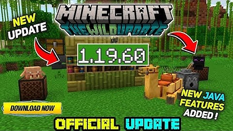 Minecraft Pe 1.19.60 Official Version Released | Minecraft 1.19.60 NEW Java Features Added!