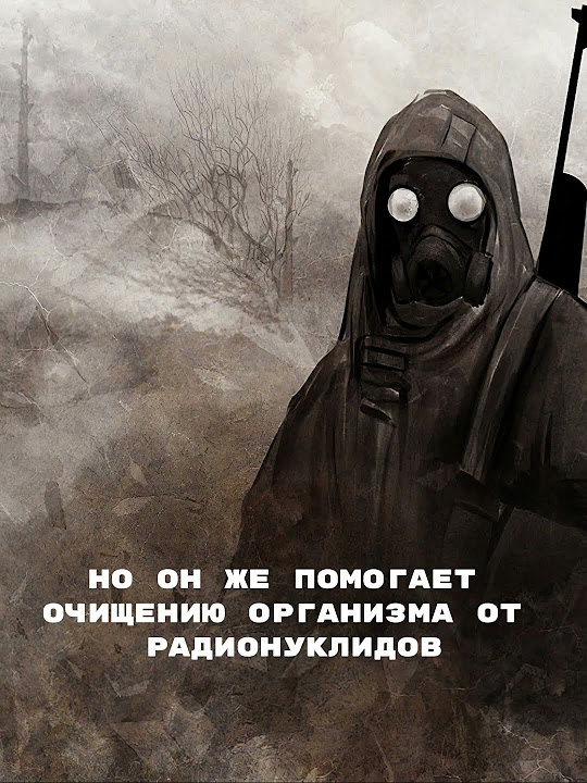 ☢️Колючка в S.T.A.L.K.E.R.☢️ #сталкер2 #сталкер #stalker #gaming #игры ...