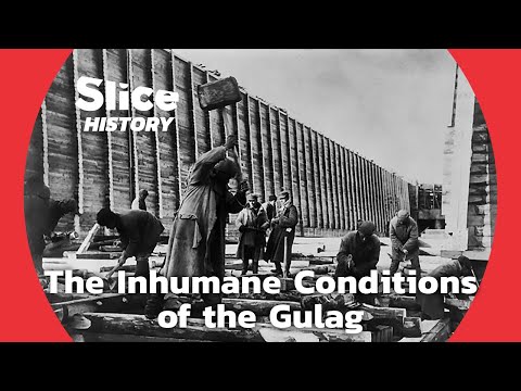 The Harsh Reality of the Gulag Through the Testimonies of Survivors I SLICE HISTORY documentary thumbnail