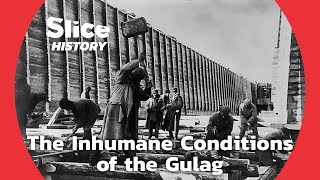 The Harsh Reality of the Gulag Through the Testimonies of Survivors I SLICE HISTORY