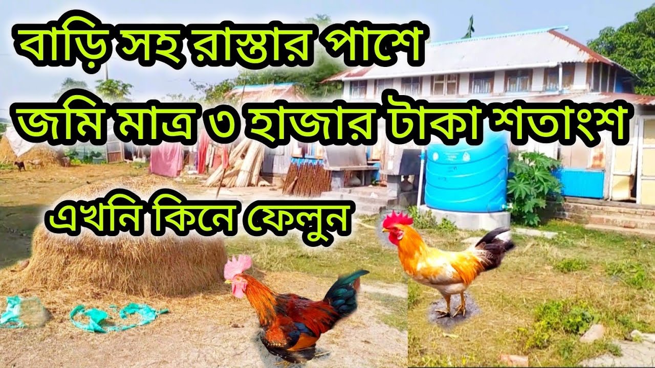 মাত্র ৩ হাজার টাকা শতাংশে জমি কিনুন রাস্তার পাশে! বাড়ি সহ মোট ১০০ শতাংশ জমি!