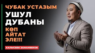 Калысбек Заманбеков: Чубак устазым ушул дубаны көп айтат эле!!!