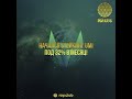 Презентация крипто монеты UMI со стейкингом до 40% / Майнинг нового поколения