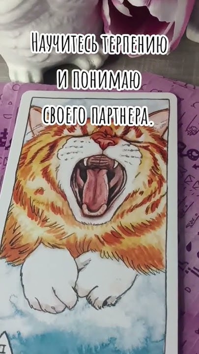 Карта Таро Кот#таро #карта #предсказания #foryou #tarot #tarotreading # ...