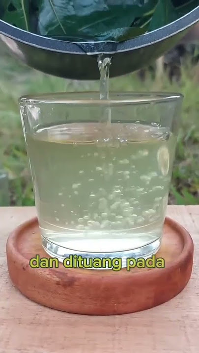 Manfaat Daun Randu/Kapuk