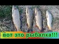 вот так рыбалка / Днестр / шикарная рыбалка