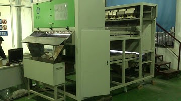 HDPE sorted by Angelon plastic color sorter machine