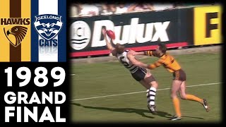 1989 VFL Grand Final - Hawthorn Vs Geelong (Extended Highlights)