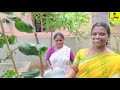 கேரளத்து பெண்களின் முடி வளர்ச்சியின் ரகசியம்|Kerala Style Hair Growth Oil Preparation|SembaVin Veedu