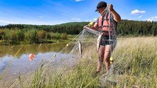 Summer At The Cabin Chicks, Mushroom Hunting Netting Whitefish