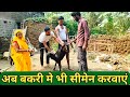 बकरियों मे सिमेन करवाकर अच्छे बकरों का उत्पादन कर लाखों कमाए | Artificial insemination in goat 🐐