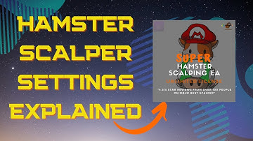 HAMSTER SCALPING ROBOT SETTINGS EXPLAINED