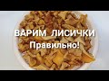 ВАРКА ЛИСИЧЕК ПЕРЕД ЗАМОРОЗКОЙ!