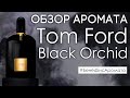 Обзор и отзывы о Tom Ford Black Orchid (Том Форд Блэк Орхид) от Духи.рф | Бенефис аромата