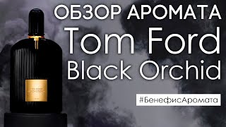 Обзор и отзывы о Tom Ford Black Orchid (Том Форд Блэк Орхид) от Духи.рф | Бенефис аромата