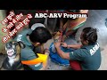 Stray Dog Catch ABC-ARV Program Bangalore City vlogs 🐕 #vlog #rescue #animals