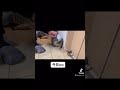 【#shorts】コスプレを昔と今で比べてみると盗っ人になったw【爆笑】
