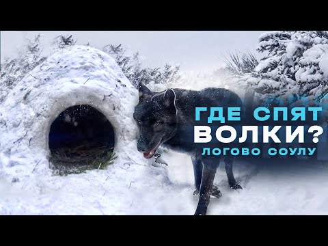 Где спят Волки? Логово Соулу