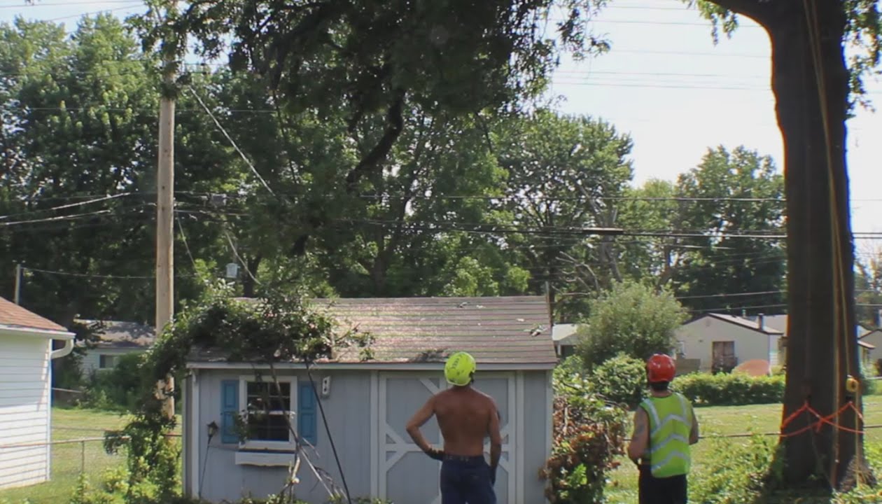Removing Branches Down On Power Lines Youtube