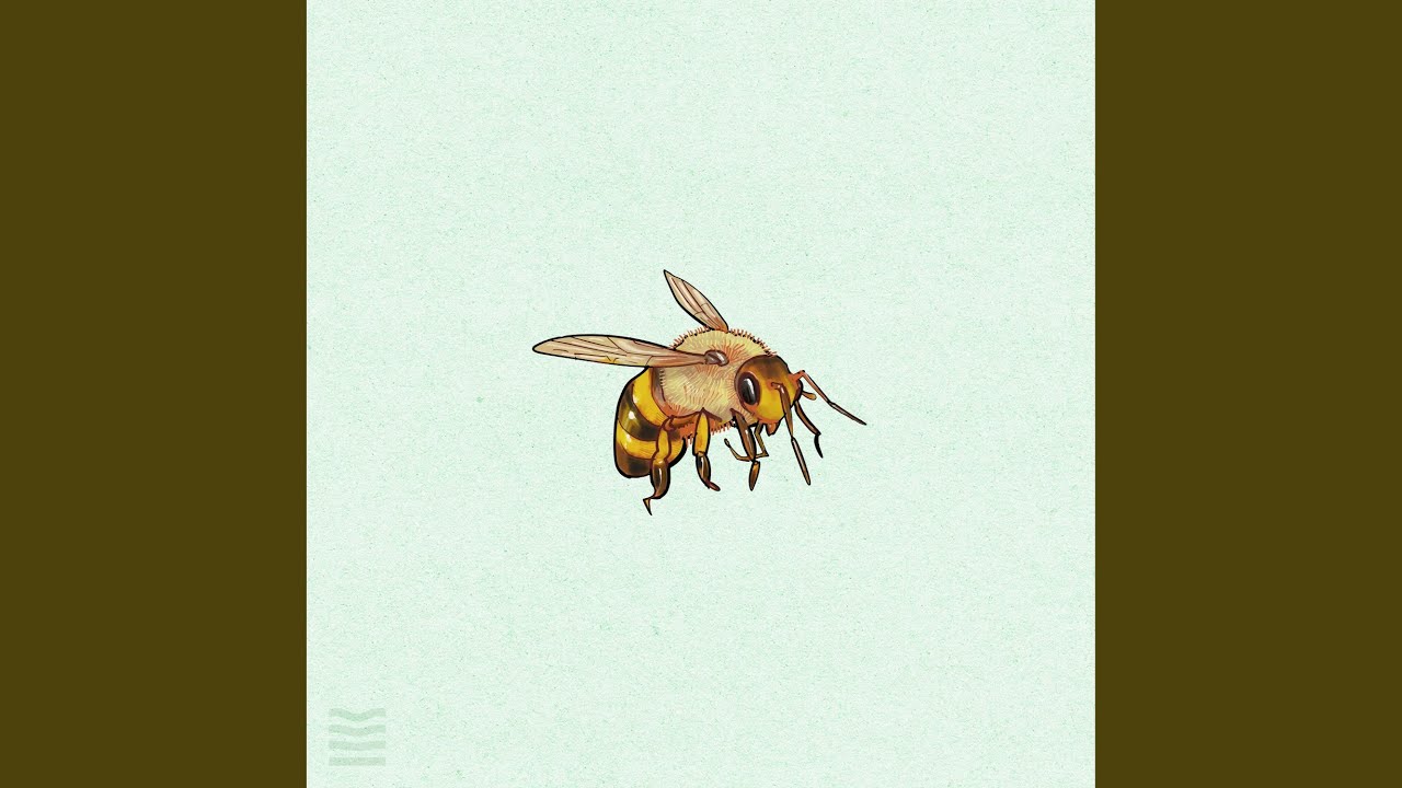 YouTubeでHoneypotを視聴