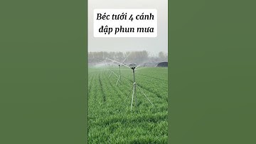 Béc tưới phun mưa 4 cánh đập đường kính 10m #nôngnghiệphay #nôngnghiệpsạch #farming #bectuoiphunmua