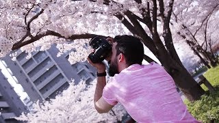 EPIC Sakura Photography | 5 Tips for AMAZING Photos