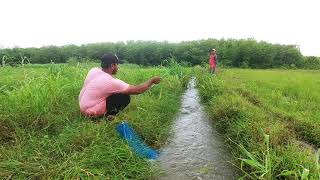 Incredible fishing with hook || Amazing fishing || Unique fishing in small water