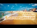 Обзор станицы Благовещенская