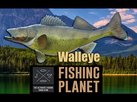 fishing planet emerald lake day walleye fishing planet emerald lake day walleye
