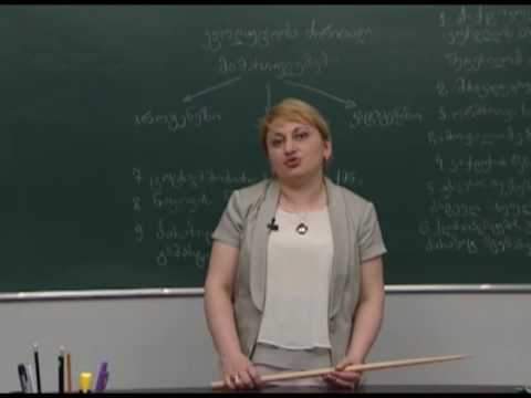 ევოლუციის ძირითადი მიმართულებები