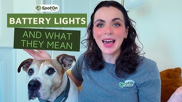 SpotOn Collar Lights Explained: What Do the Lights on the GPS Dog Fence Collar Mean?