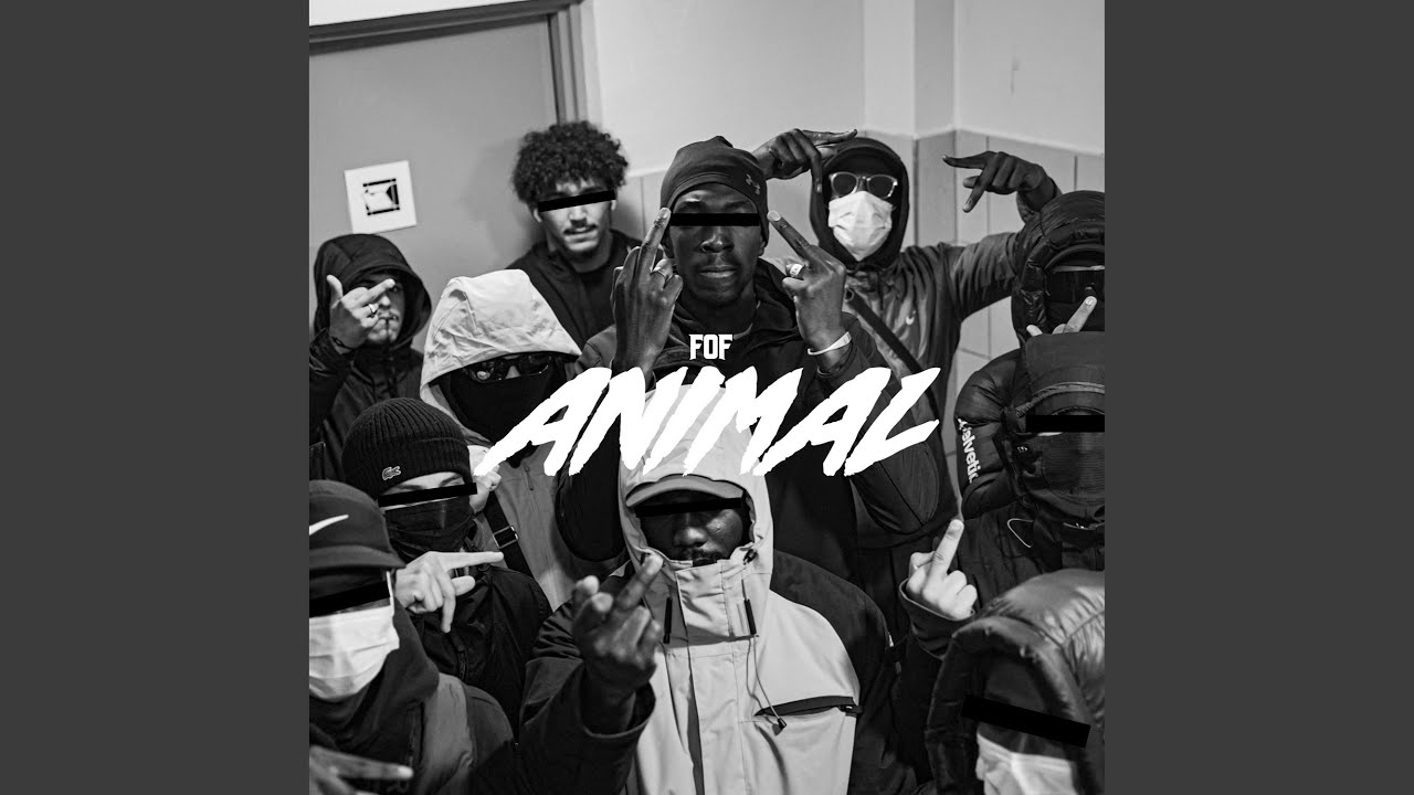 Watch ANIMAL on YouTube Watch ANIMAL on YouTube