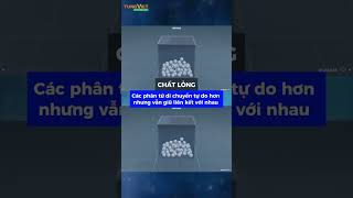 [TVC_SMART_EDU] KHTN 6 - Bài 8: Các thể cơ bản của chất